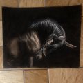 Kundbild Talens Indian Ink Tusch 30 ml: Perfekt för att färga in svart...